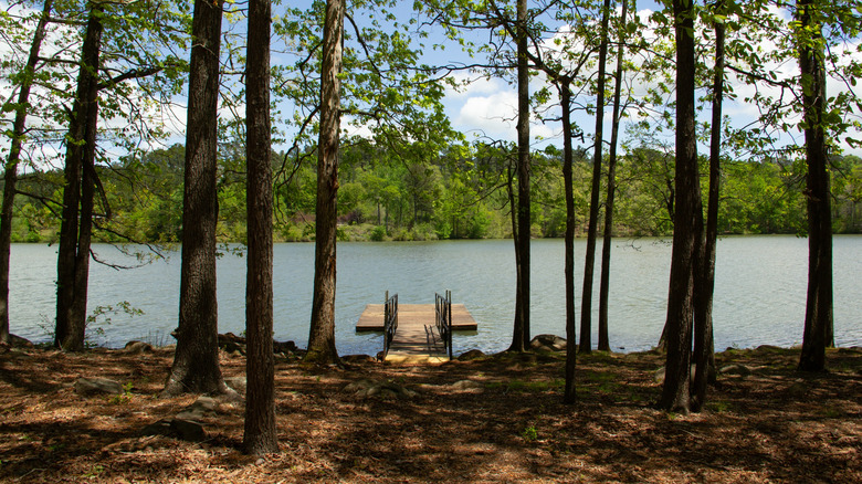 A dock on the lake among the trees at Fort Yargo State Park.