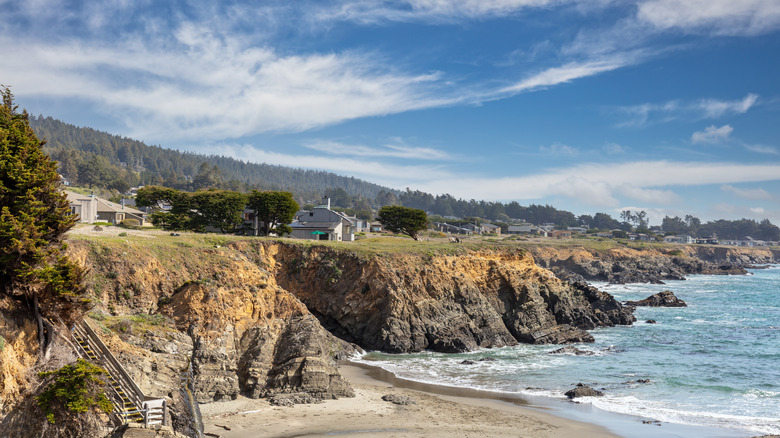 Sea Ranch coastline