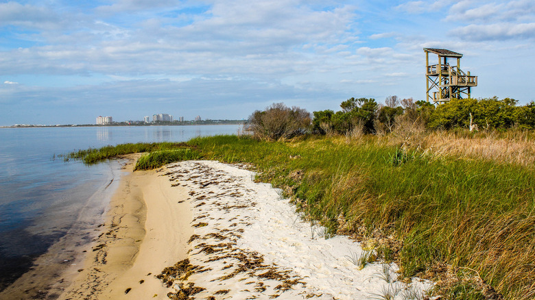 Big Lagoon State Park beach
