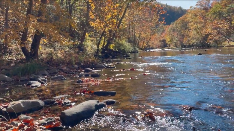 Bluestone National Scenic River Park, West Virginia
