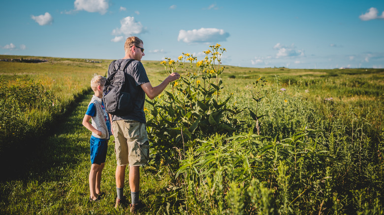 Man and his son look at wildflowers on a prairie hike