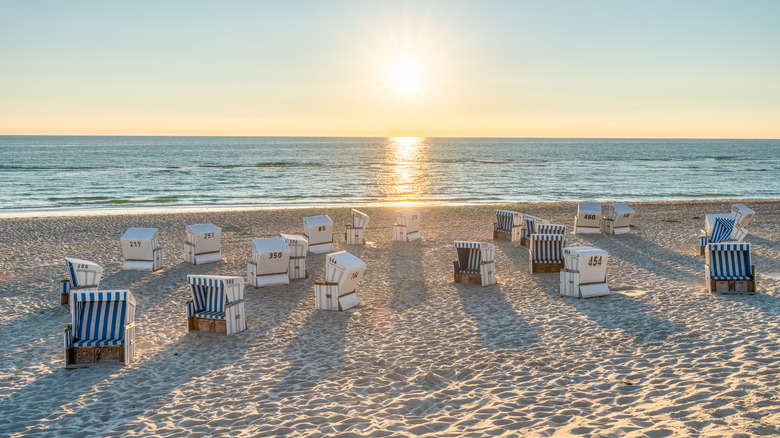 Row of beach chairs at sunset