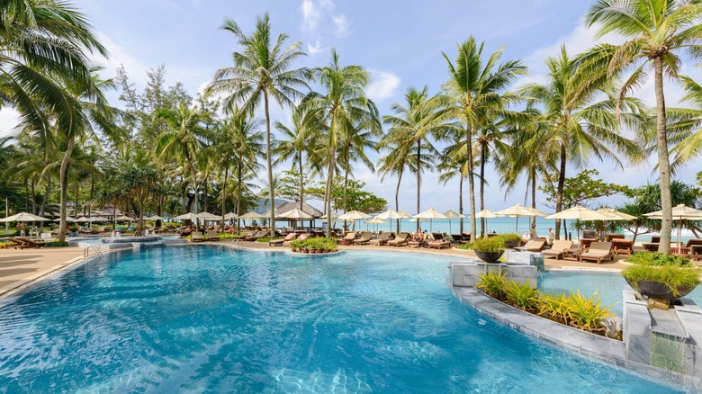 Palm trees surrounding pool