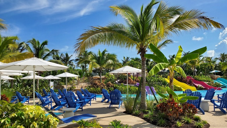 palm trees, chairs, umbrellas, and colorful slides at the Baha Bay Waterpark