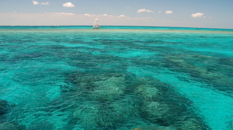 sea foam green water, coral formations underneath, horizon