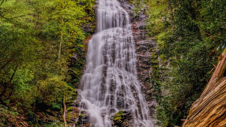 Mingo Falls surrounded by forest