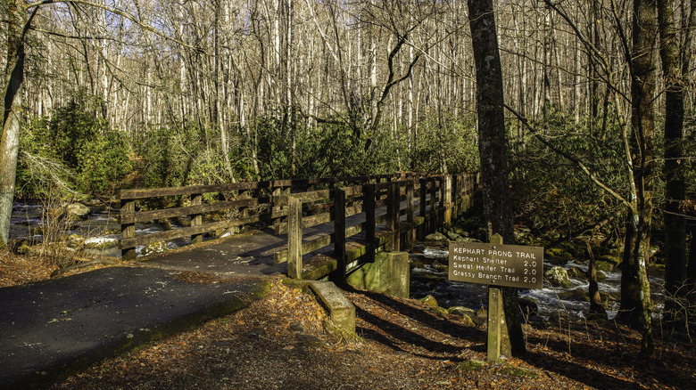 A pedestrian bridge crosses the Oconoluftee River at the Kephart Prong Trail in the Great Smoky Mountains National Park