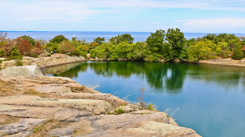 Trees and cliffs characterize Halibut Point State Park
