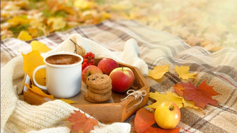 picnic lunch in the fall