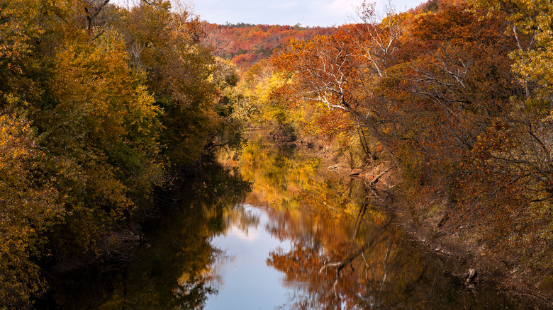 Cuivre River SP in fall
