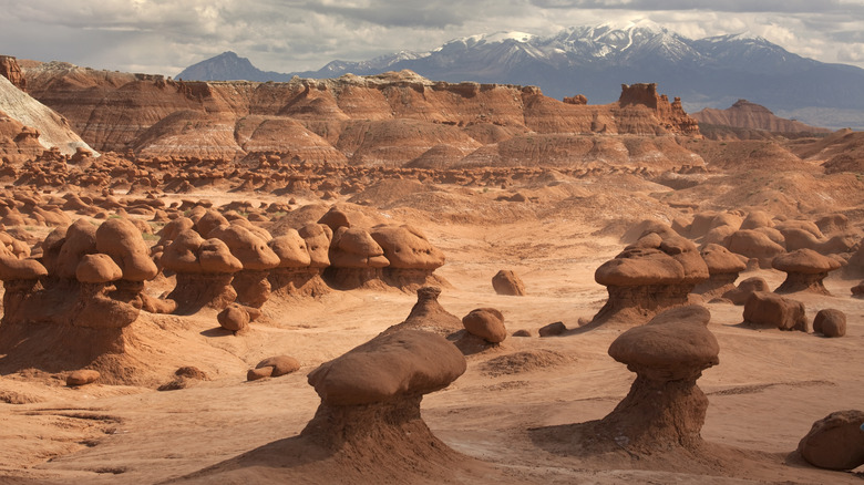 Mushroom shaped rock formations