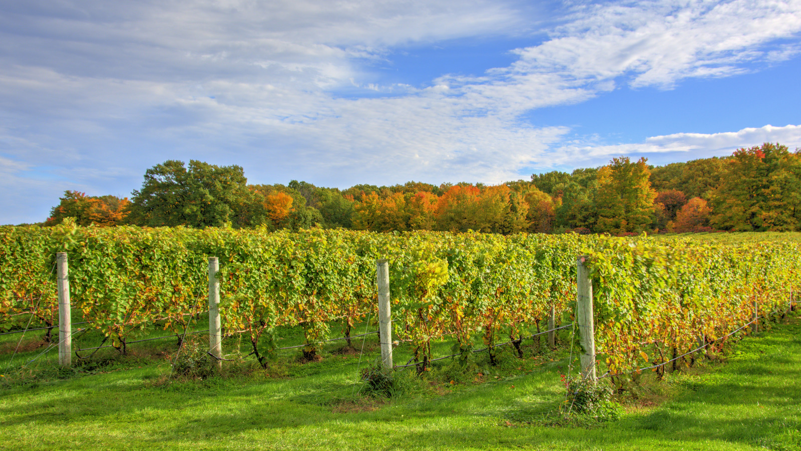 This Midwest Town Is One Of The Best Wine Destinations In The U.S. – Explore
