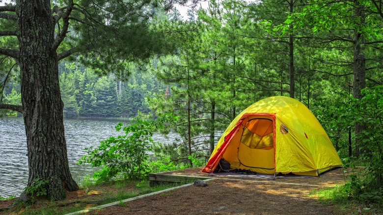 A tent campsite in a forest near a lake at Voyageurs National Park.