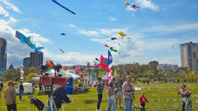 Busy park in Wisconsin