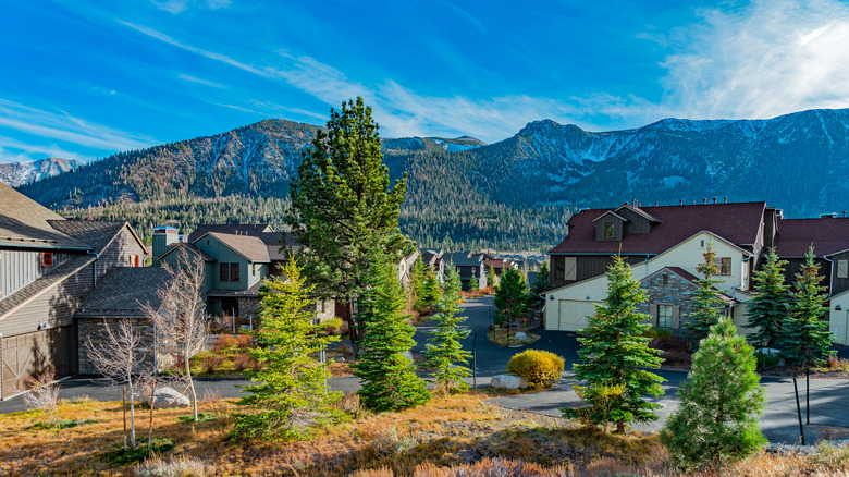 Pine trees stand in front of a group of homes with snow-covered hills in the background in Mammoth Lakes, California