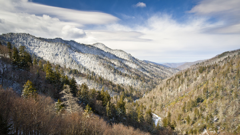Tennessee mountains in winter