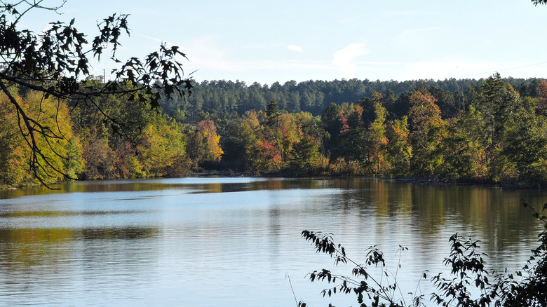 Scenic Lake Badin in Fall, Uwharrie National Forest, North Carolina
