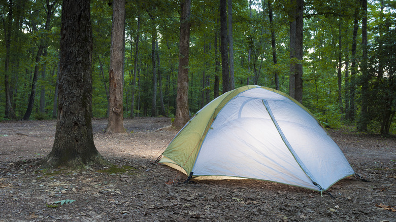 A tent at dusk in the Uwharrie National Forest, North Carolina