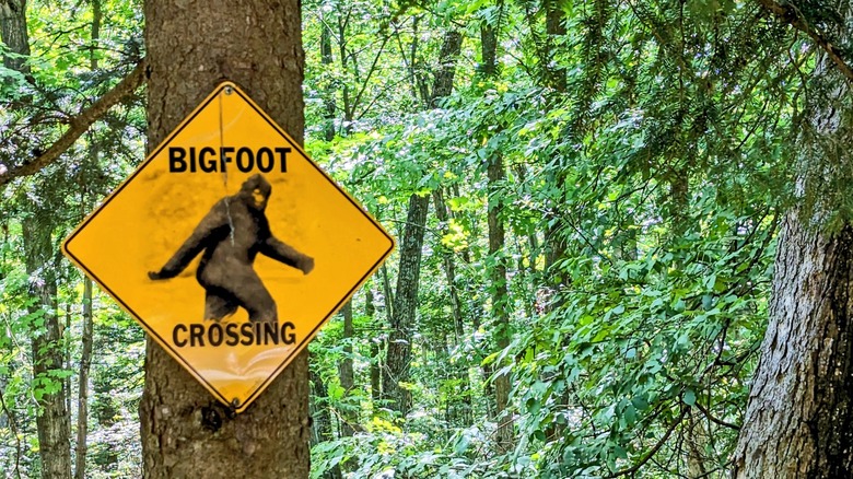 A "Bigfoot Crossing" sign in the woods
