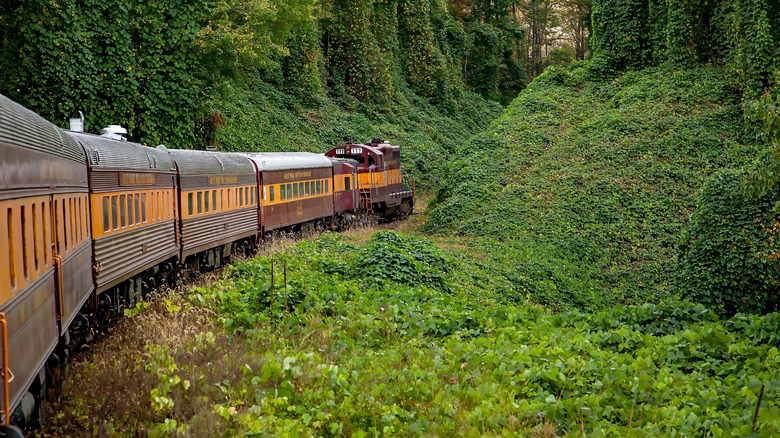 The Great Smoky Mountains Railroad runs through Great Smoky Mountains National Park after departing from Bryson City, North Carolina