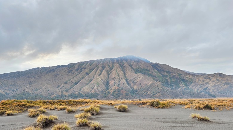 Bromo volcano with expanse of black sand in foreground
