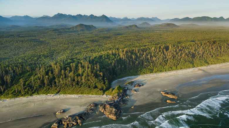 Aerial view of beach, forest, and mountains in Pacific Rim National Park Preserve