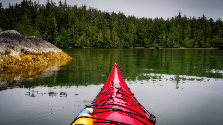 A kayak surrounded by ocean and approaching forested island in Pacific Rim National Park Reserve