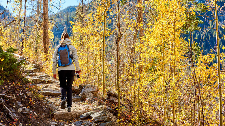 Fall hiker at Rocky Mountain National Park