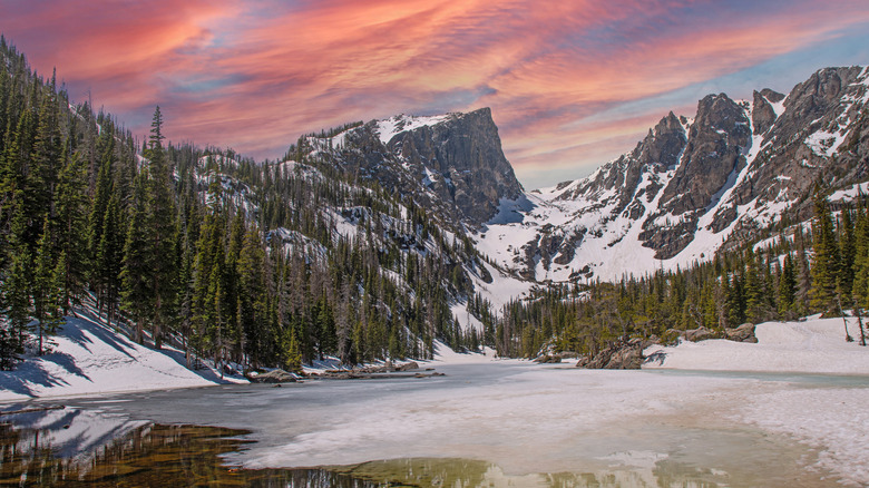 forests and mountains in Rocky Mountain National Park