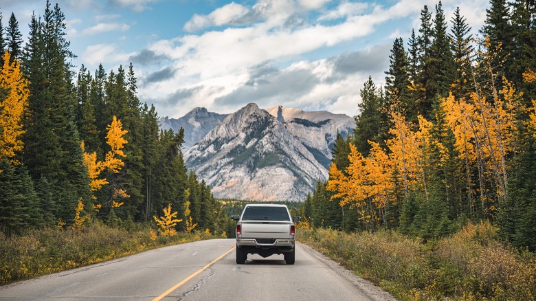 a car drives along a road in Rocky Mountain National Park