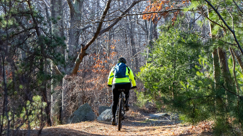 Person mountain biking in forest