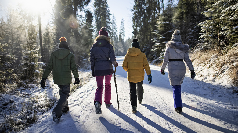 four hikers in a snowy forest