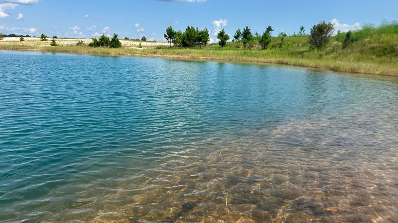 The quiet side of Lake Isabel on Lake Isabel Farm in Bogalusa, Louisiana.
