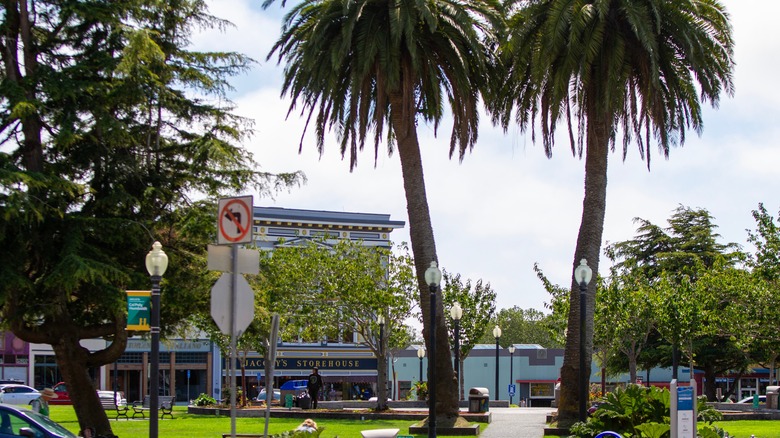 Arcata Plaza, where the farmers' market is held in Arcata, California