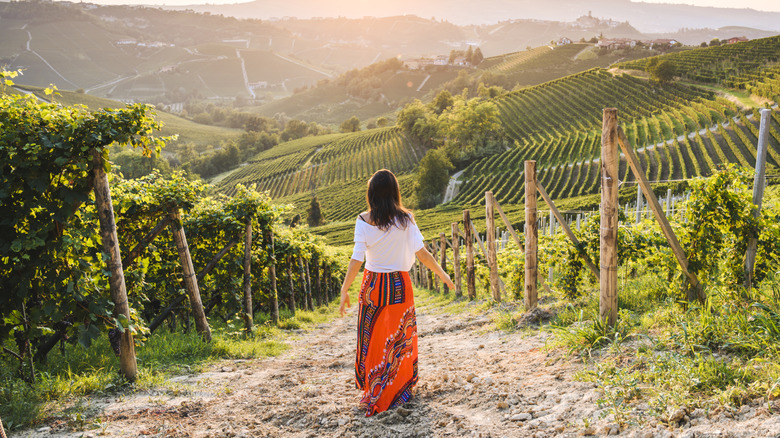A lady strolling in a vineyard