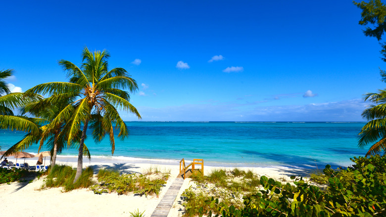 the white sand and the turquoise water at Grace Bay Beach on Providenciales in the Turks and Caicos
