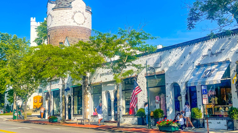 an aerial view of Southampton on Long Island in New York