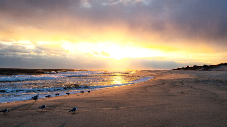 People exploring Southampton