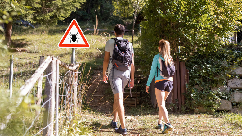 Two hikers walk a trail marked by a tick sign.