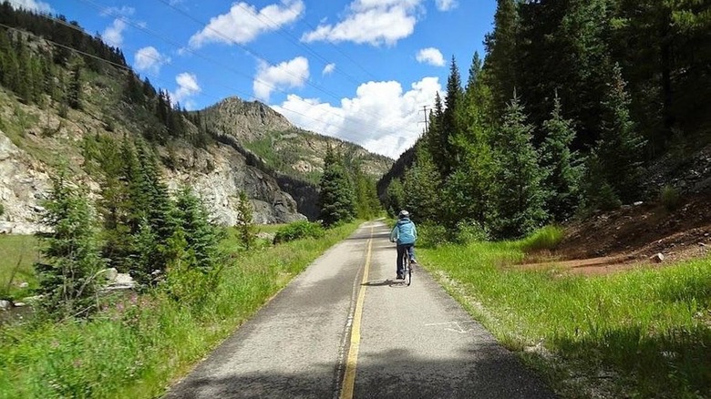 Cyclist on mountain path