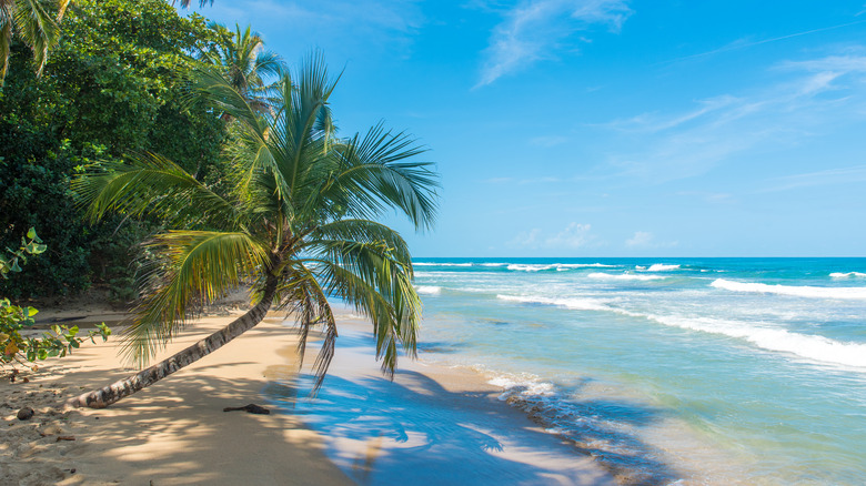 Playa Chiquita in Costa Rica