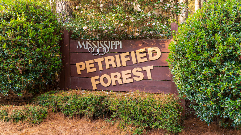 Mississippi Petrified Forest Entrance sign