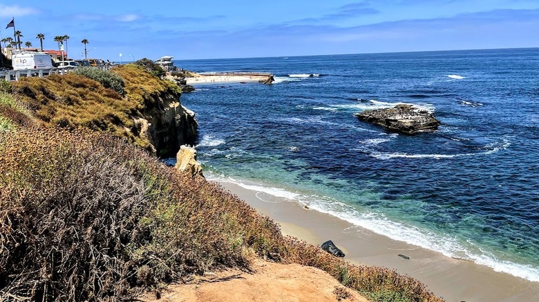 Grassy cliff, sandy shore, blue ocean, blue sky