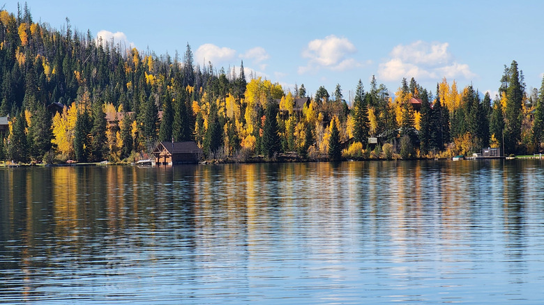 Beautiful view of colorful trees and cabins on the shore of Grand Lake, Colorado