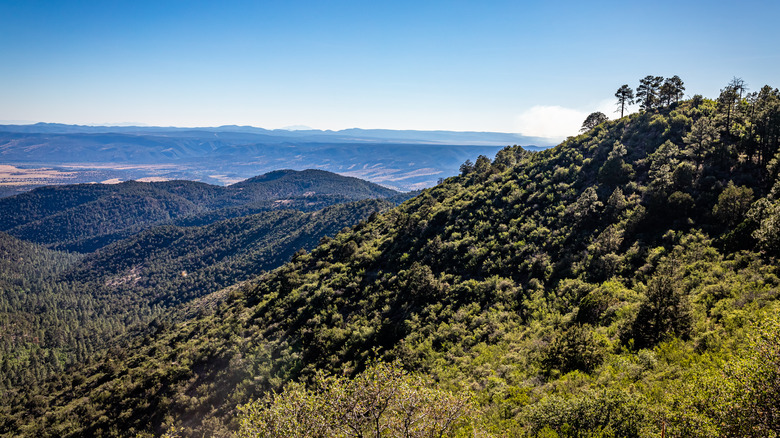 Scenic mountain range and grassy hillside under a blue sky
