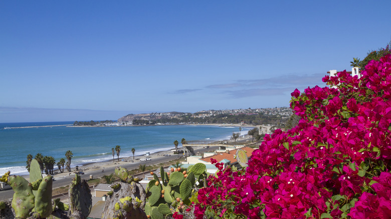 Aerial view of Doheny State Beach 