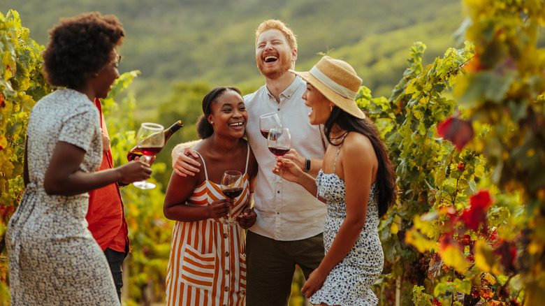 Four people with wine glasses in hand laugh among vineyards