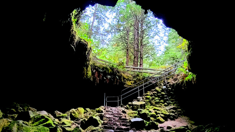 entrance to the Ape Cave in Mount St. Helens