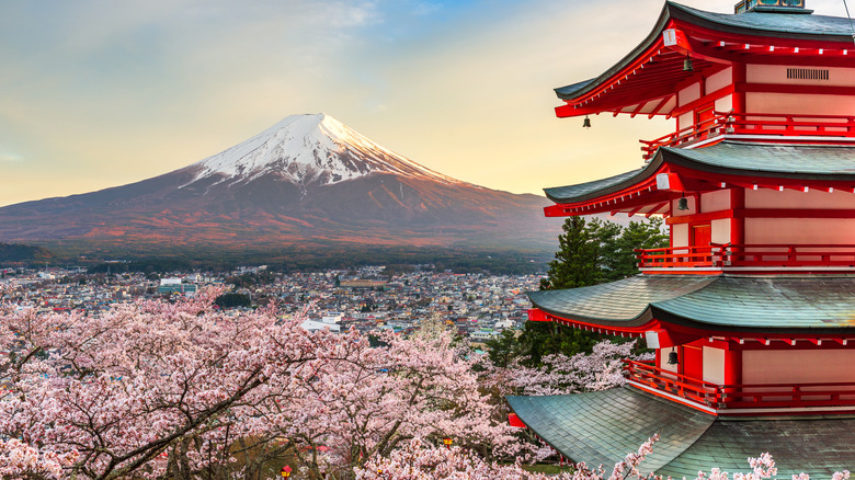 Mount Fuji, pagoda, and cherry blossoms