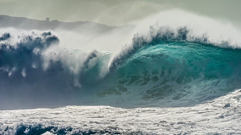 Wave at Waimea Bay